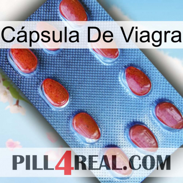 Cápsula De Viagra 06.jpg